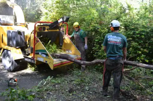 tree services Menlo Park